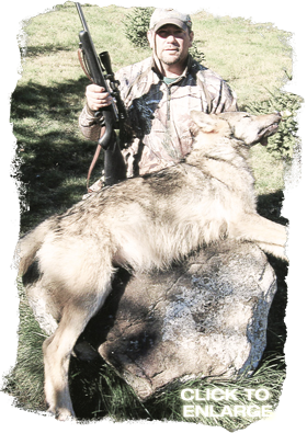 Whitetail Deer hunting in Ontario