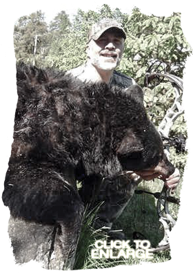 Trophy Bear Hunting in Ontario