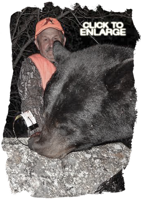 Trophy Bear Hunting in Canada