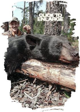 Trophy Bear Hunting Canada