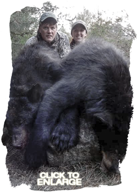 Trophy Bear Hunting in Ontario