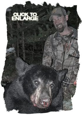 Trophy Bear Hunting in Canada