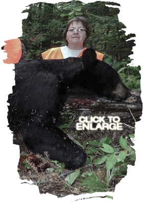 Best Bear hunting in Northwestern Ontario