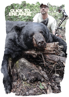 Black Bear hunting in Northwestern Ontario