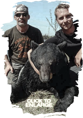 Trophy Bear Hunting in Vermilion Bay Area